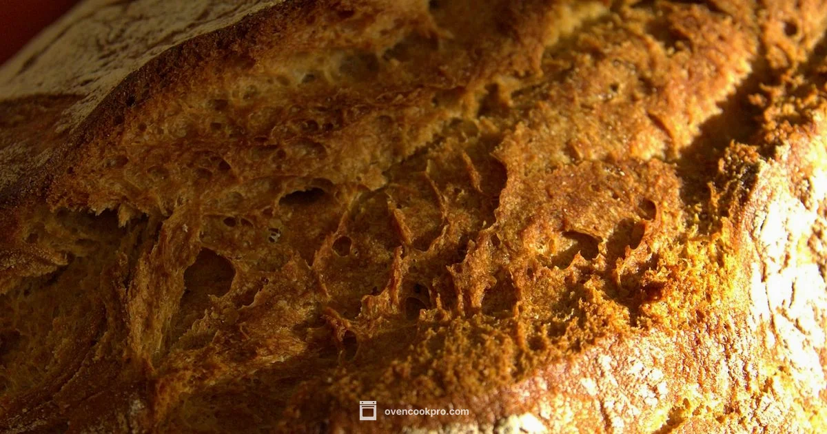 Bread in Dutch Oven - Oven Cook Pro