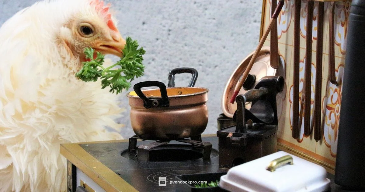 Oven Chicken Guide - Oven Cook Pro