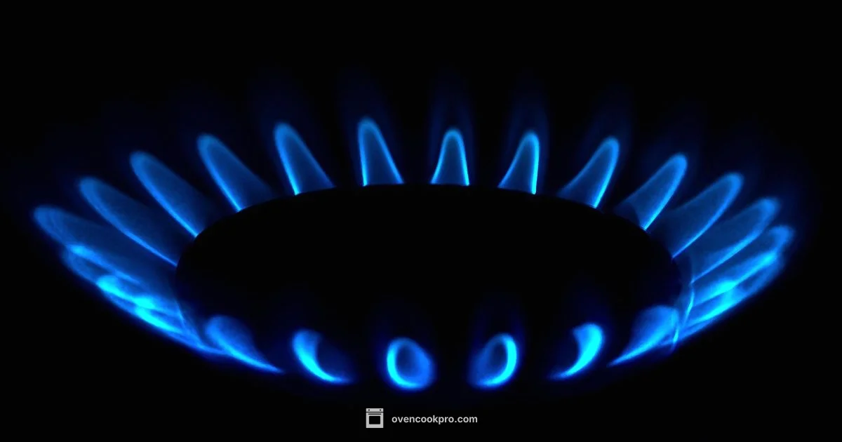 Oven Flame Guide - Oven Cook Pro