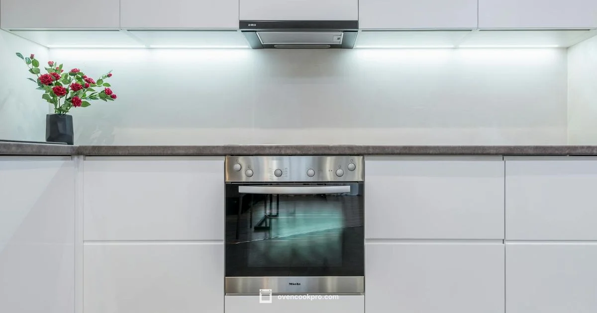 Self-Clean Oven Guide - Oven Cook Pro