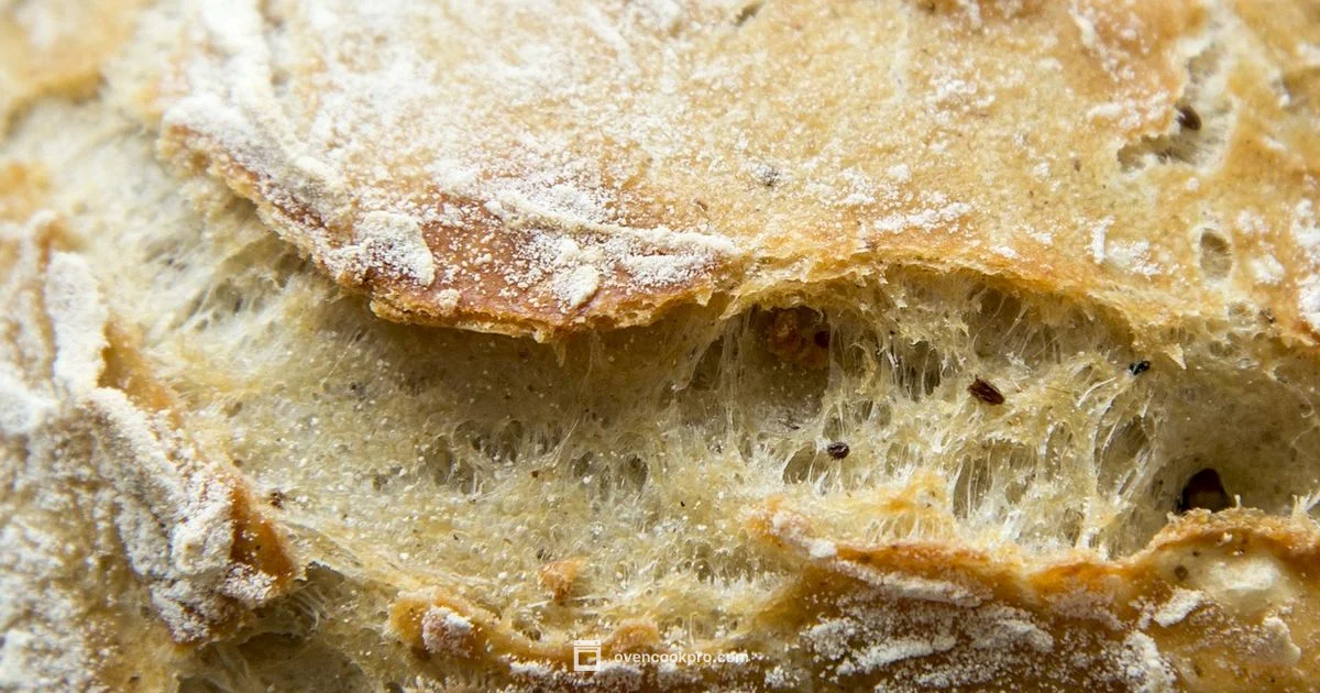 Dut​ch Oven Bakery - Oven Cook Pro