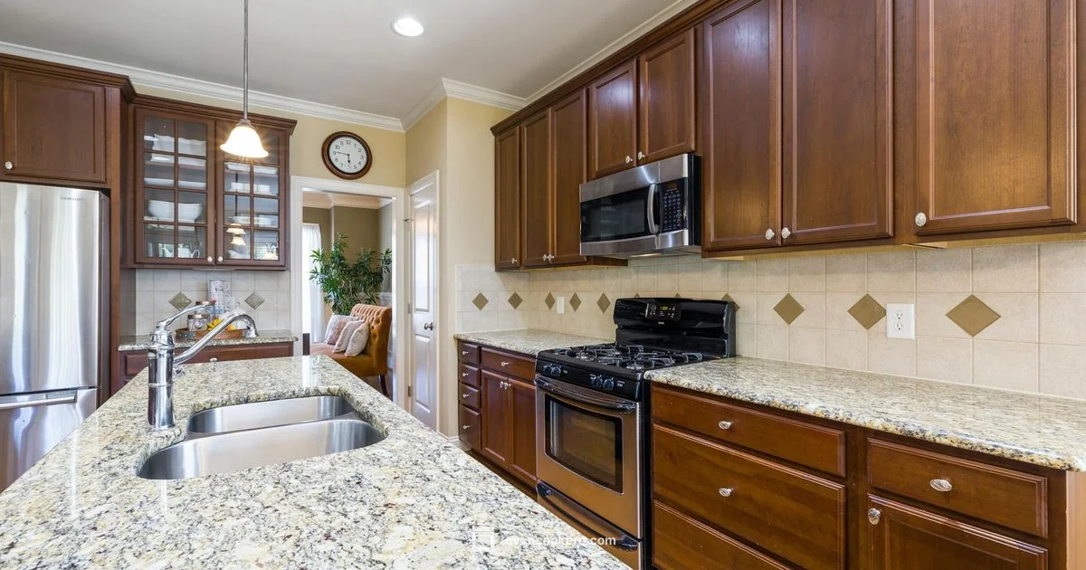 Benchtop Oven Essentials - Oven Cook Pro