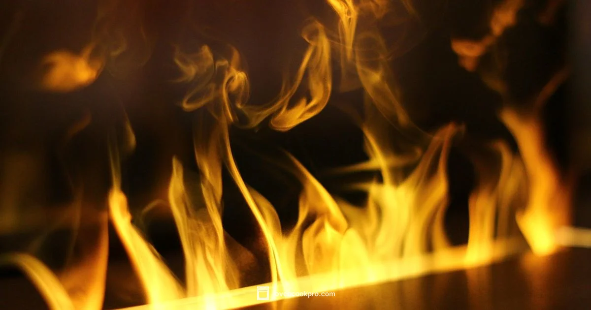 Heating Element Troubleshooting - Oven Cook Pro