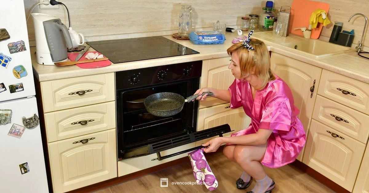 Air Fryer Oven Guide Air Fryer Oven Guide - Oven Cook Pro