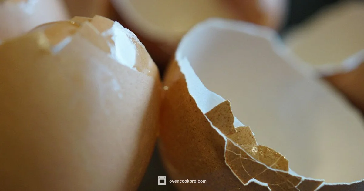 Yogurt Chicken Oven - Oven Cook Pro
