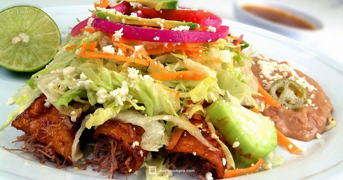 Oven Enchiladas Ready - Oven Cook Pro