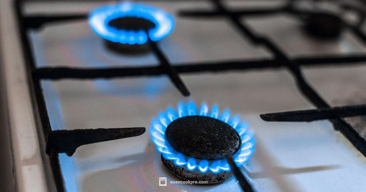 Igniter Compatibility Guide - Oven Cook Pro