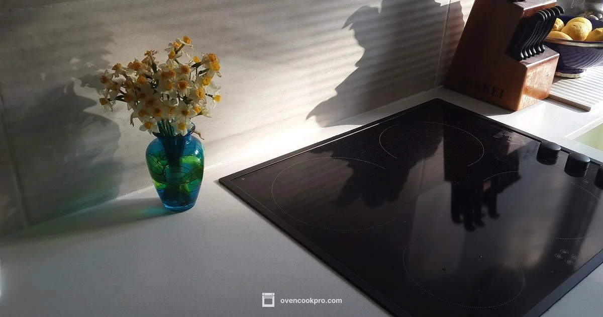 Best Electric Stoves 2026 - Oven Cook Pro