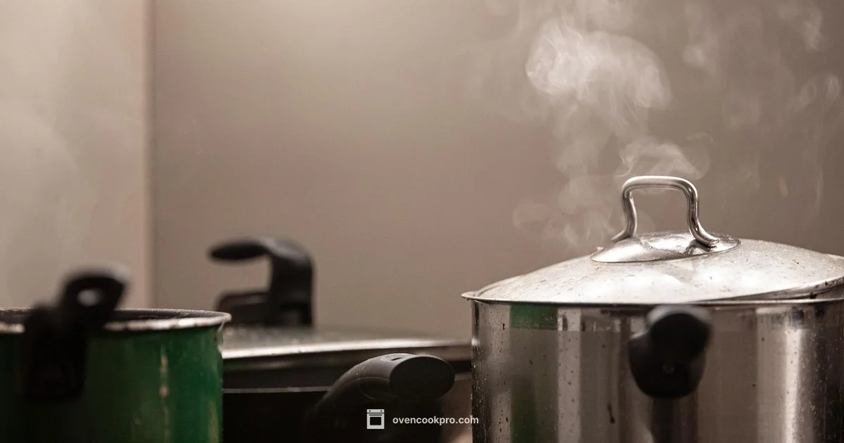 Steam Oven Essentials - Oven Cook Pro