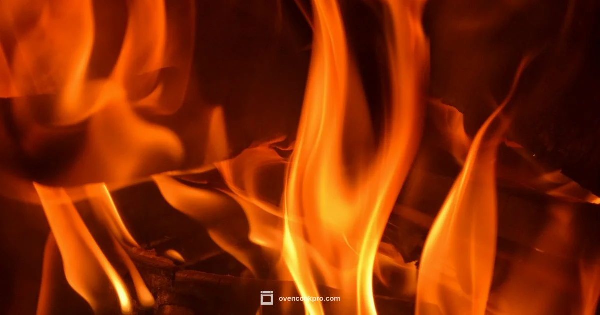 Oven Element Guide - Oven Cook Pro