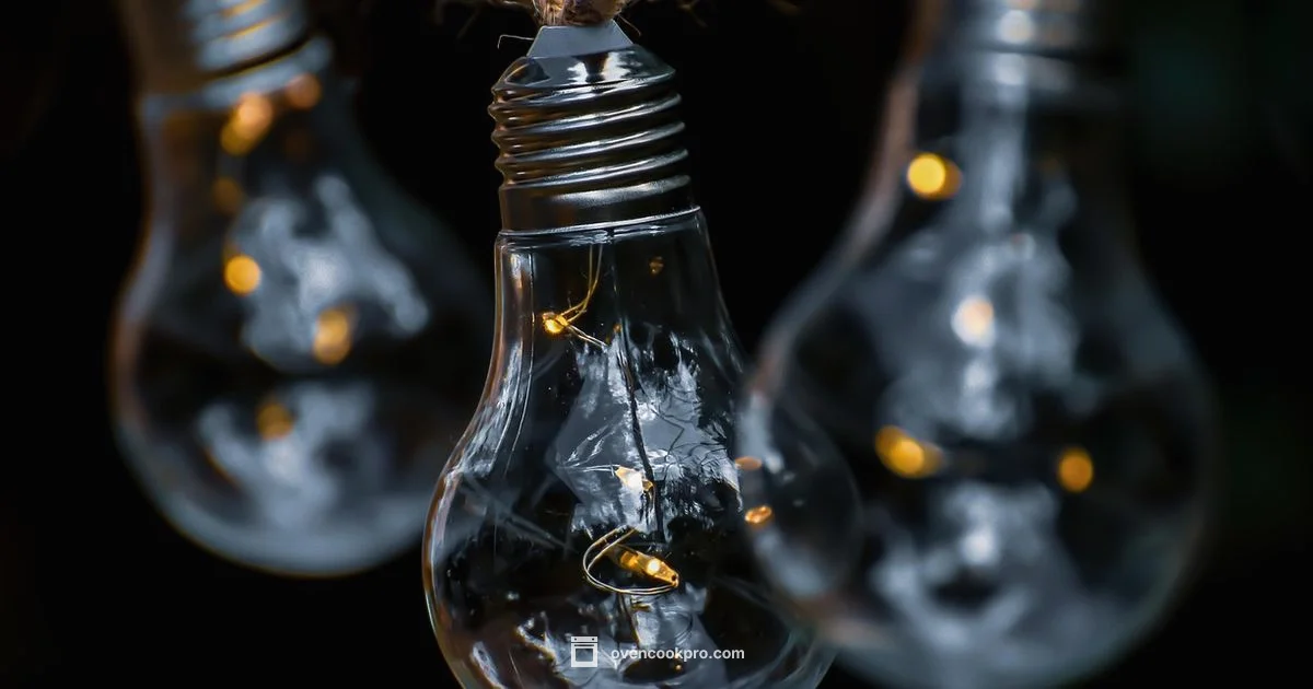 Oven Light Fix - Oven Cook Pro