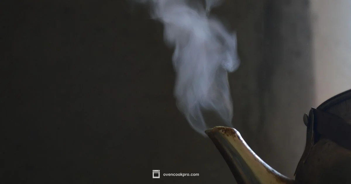 Oven Smoke Guide - Oven Cook Pro