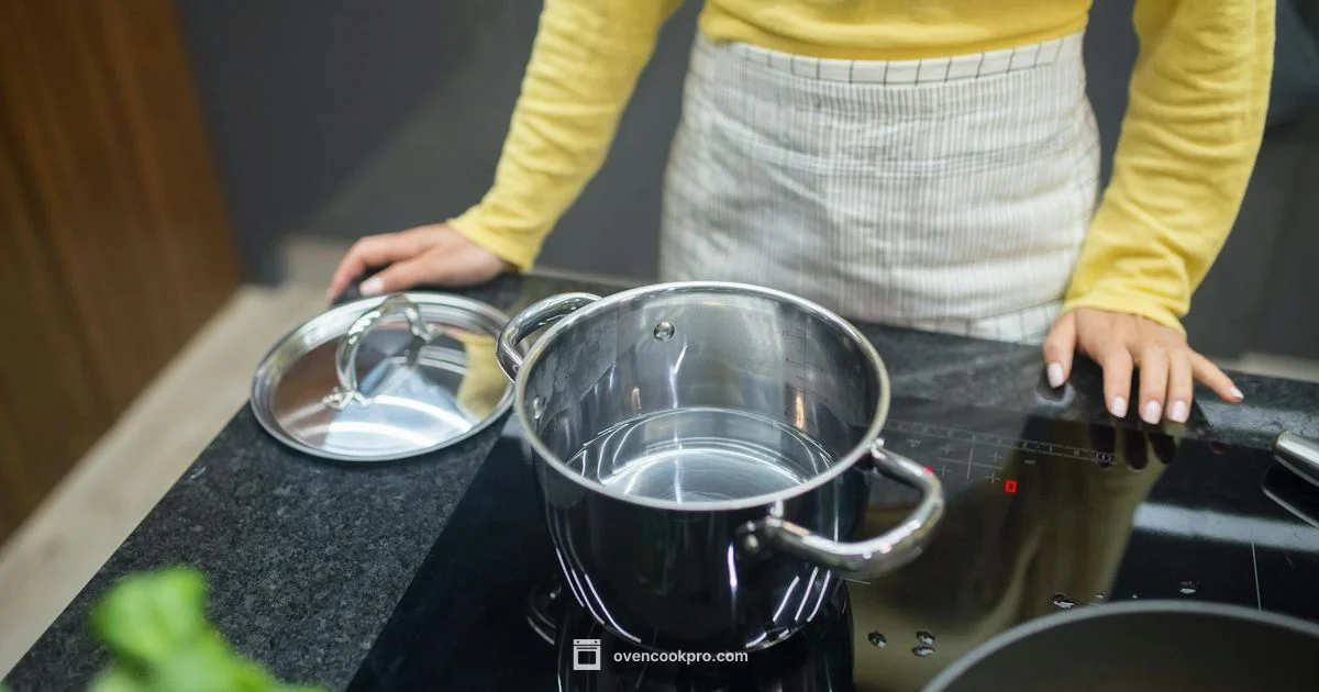 Induction Heating Essentials - Oven Cook Pro