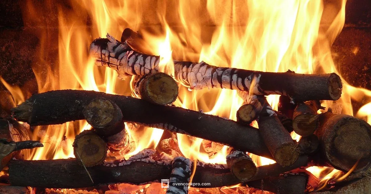 Toaster Oven Heat - Oven Cook Pro