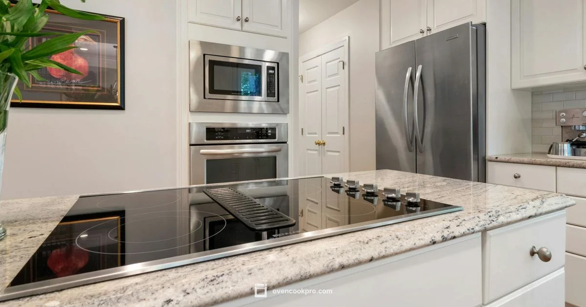 Convection Oven Basics - Oven Cook Pro