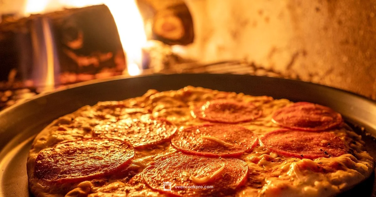 Pizza Oven Startup - Oven Cook Pro