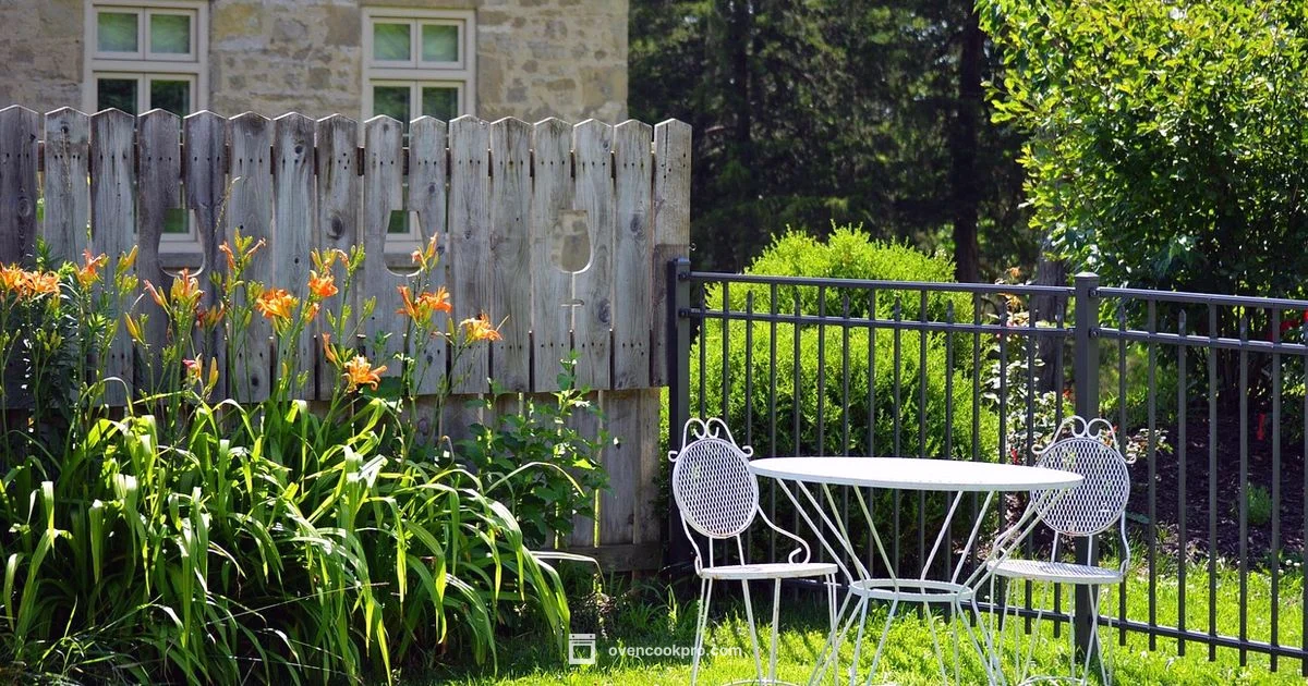 Outdoor Oven Mastery - Oven Cook Pro