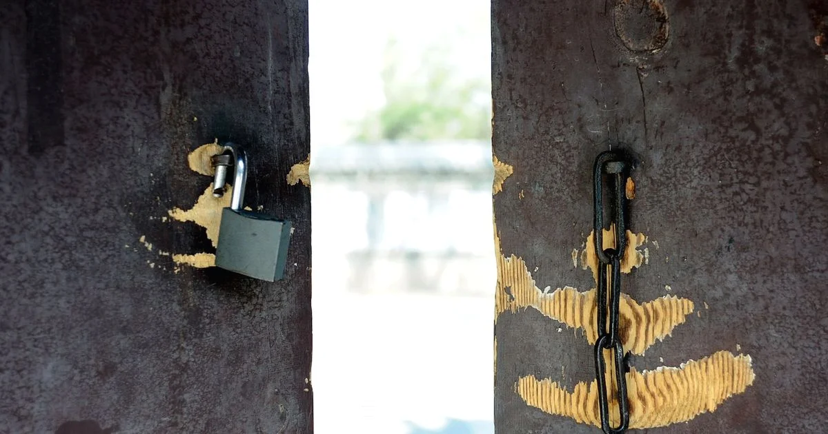 Odor-Free Oven - Oven Cook Pro