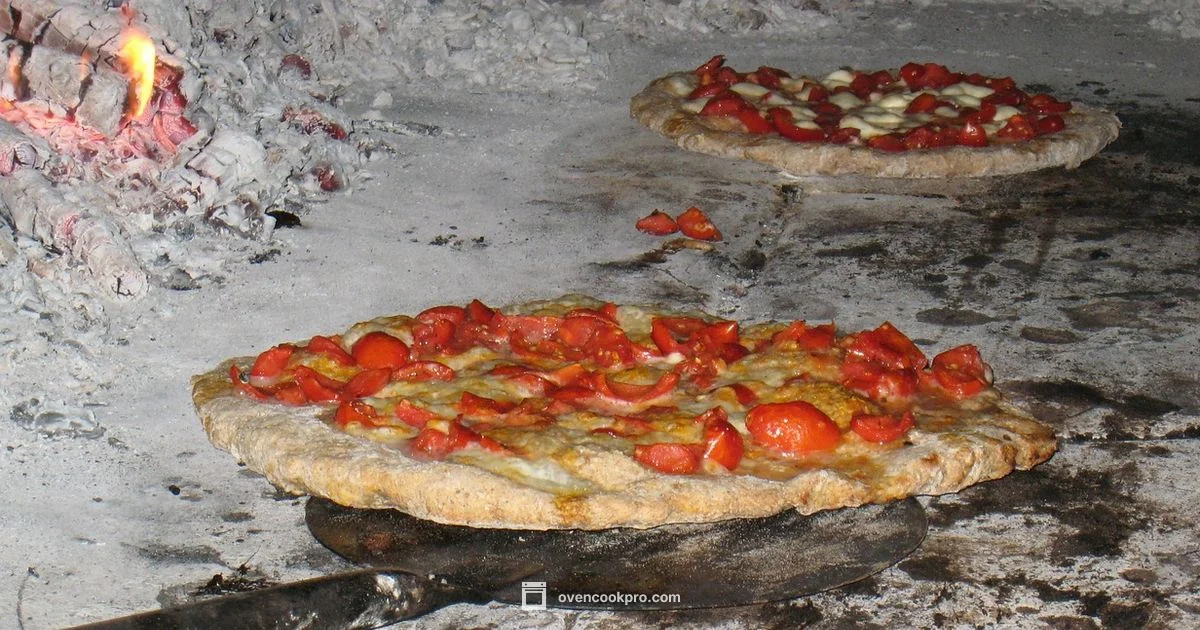 Brick Oven Pizza - Oven Cook Pro