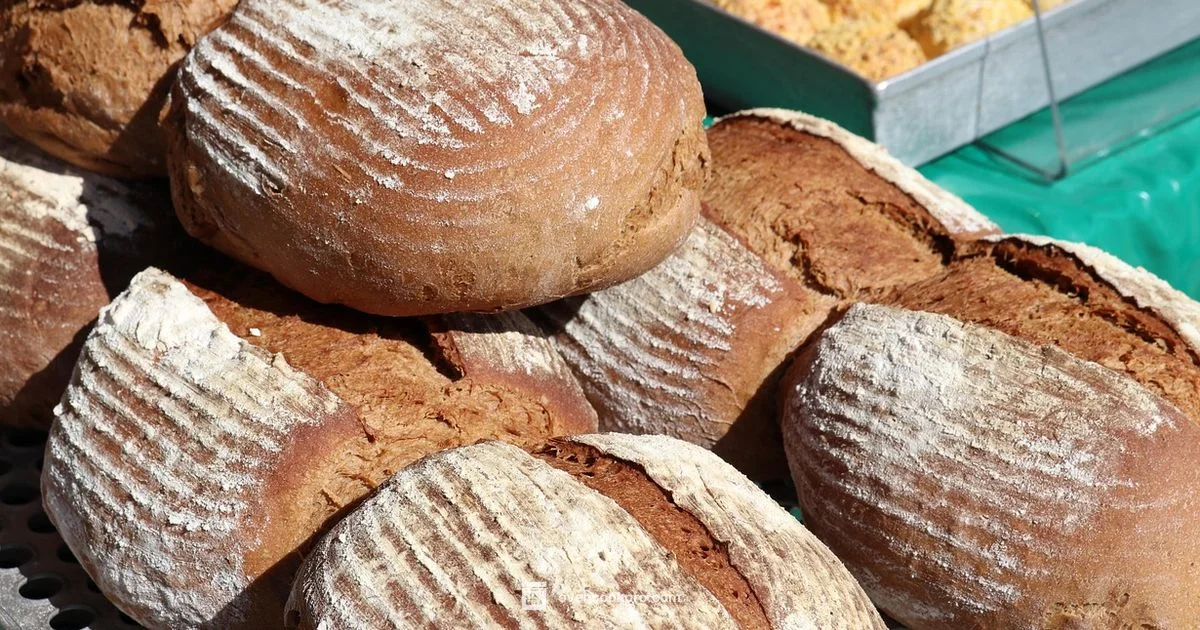 Dutch Oven Bread - Oven Cook Pro
