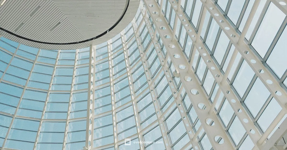 Fume Free Cleaning - Oven Cook Pro