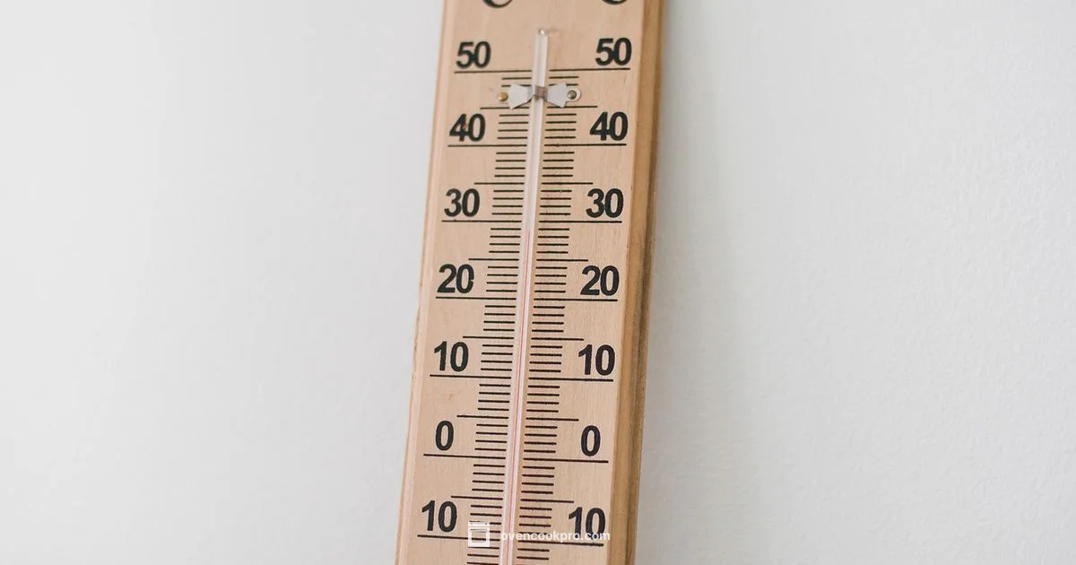 Oven Thermometer Use - Oven Cook Pro