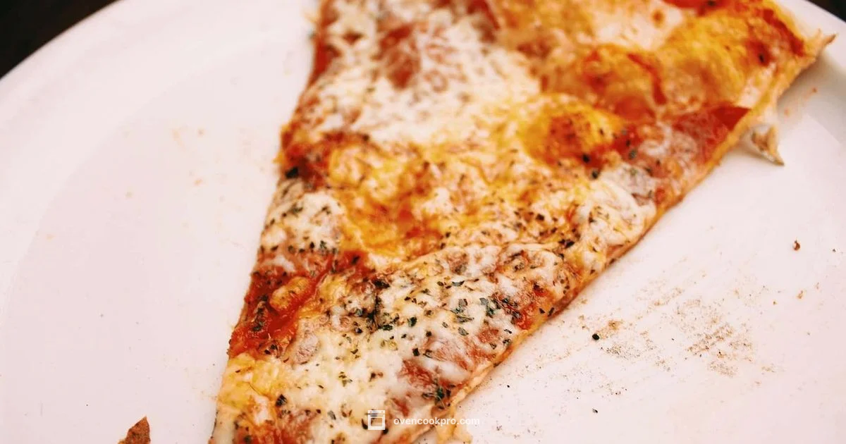 Reheat Pizza in Oven - Oven Cook Pro