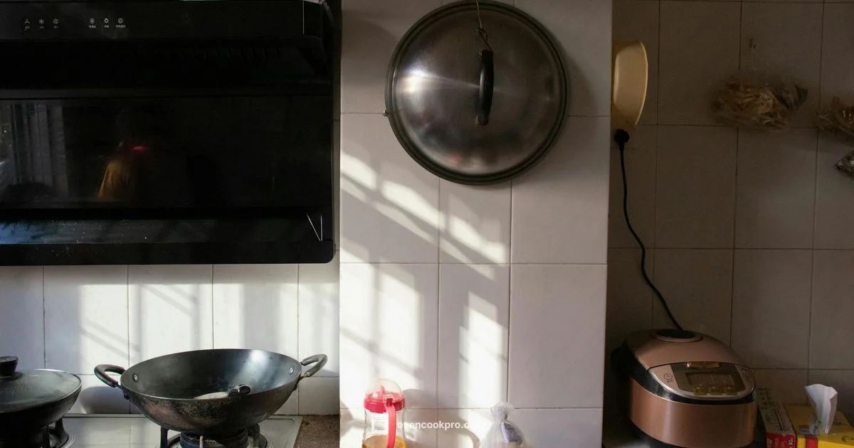 Convection Oven Price - Oven Cook Pro