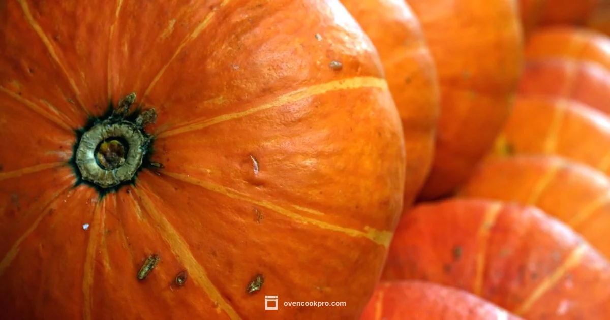 Oven Roasted Squash - Oven Cook Pro