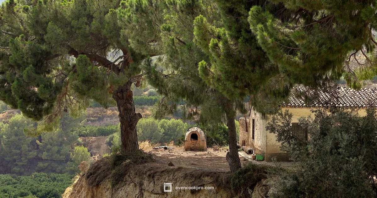 Oven Space Calculator - Oven Cook Pro