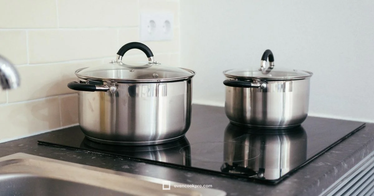 Alternative Cooking - Oven Cook Pro