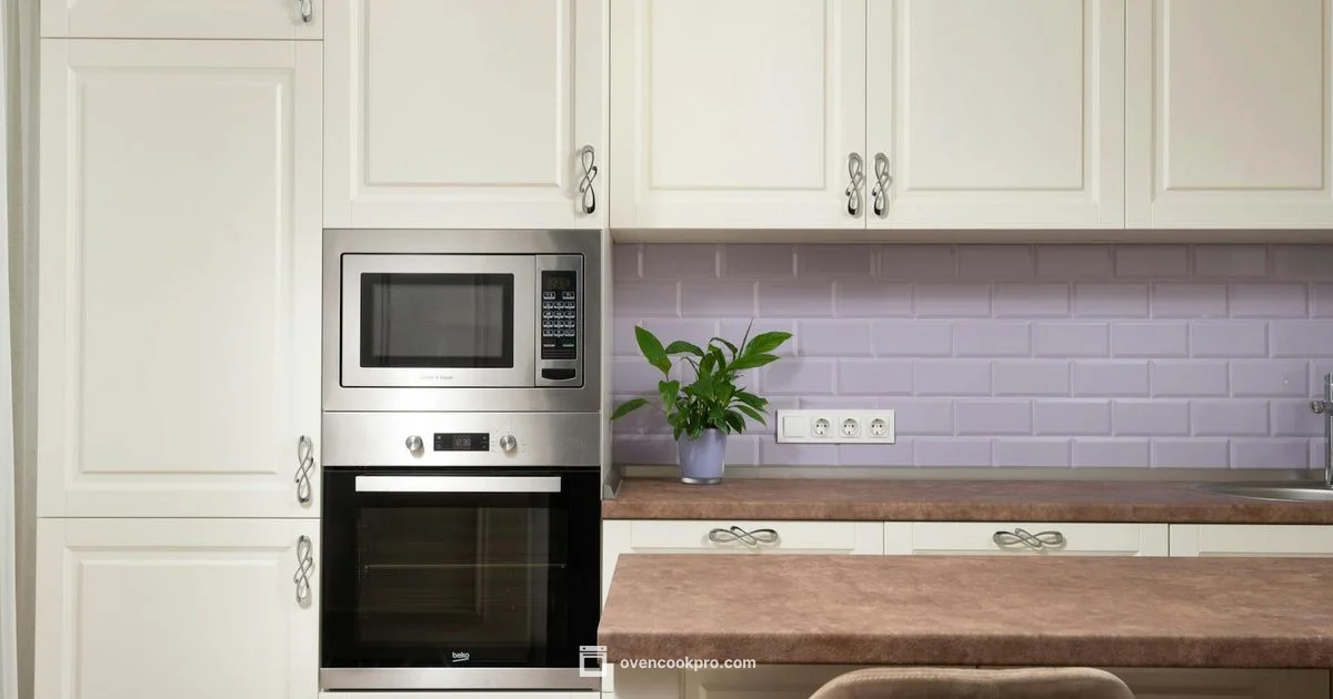 24 Inch Built In 24 Inch Built In - Oven Cook Pro