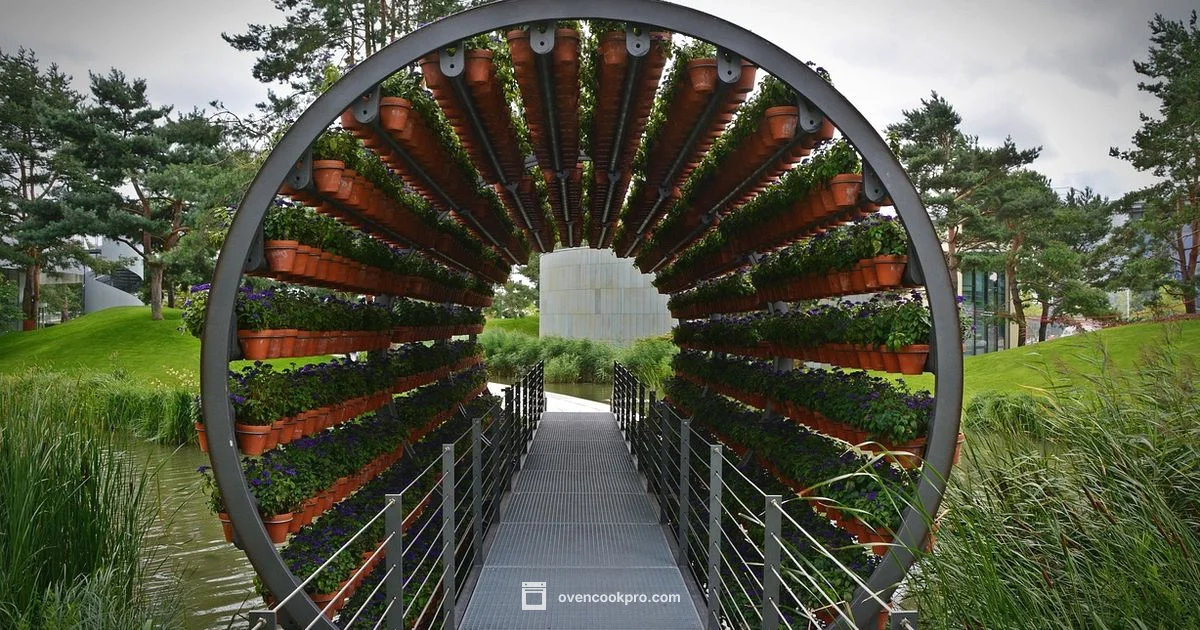 New Oven Odor - Oven Cook Pro