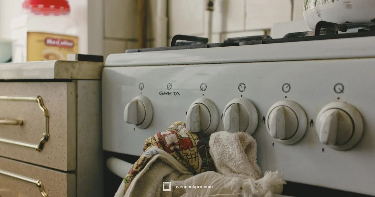 Gas Oven Mastery - Oven Cook Pro