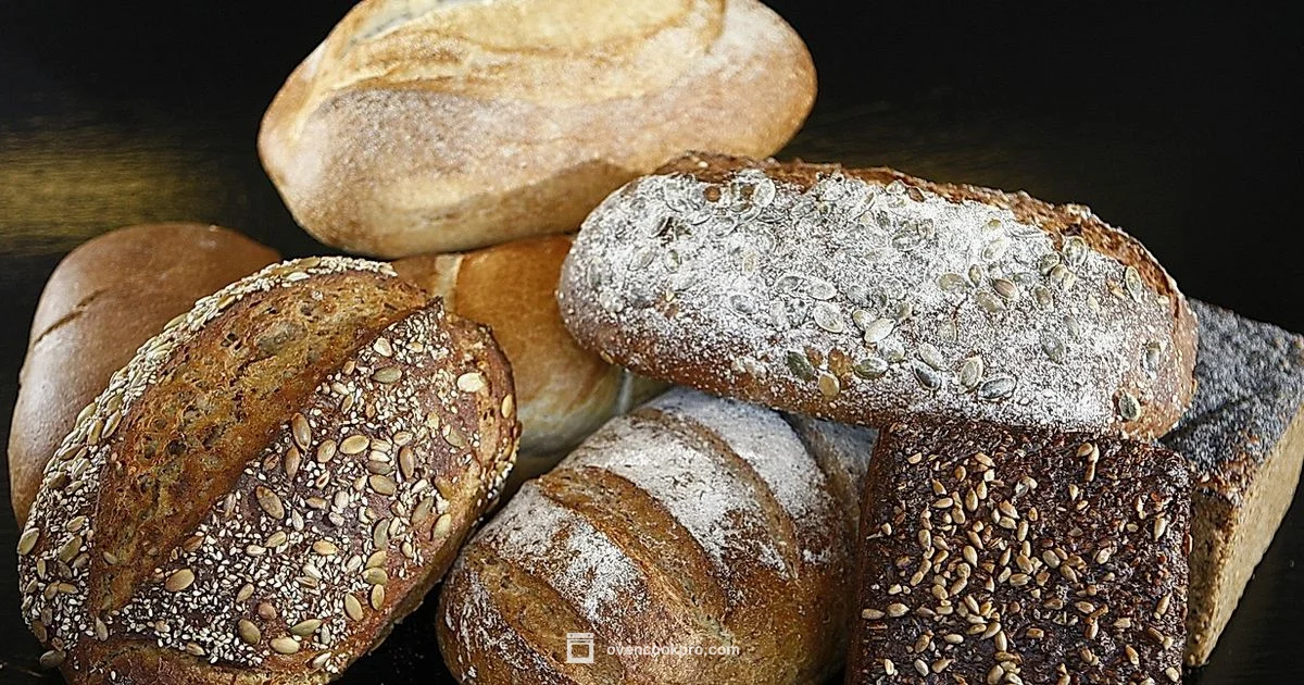 Stone Oven Mastery - Oven Cook Pro