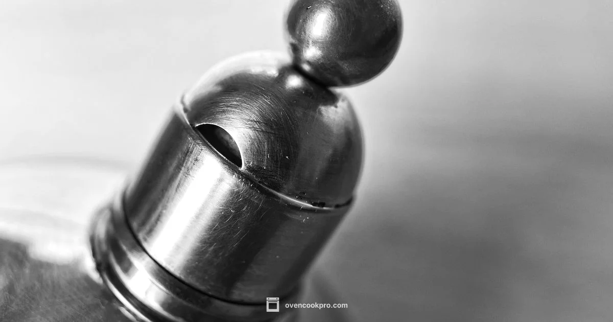 Oven Smoking Fixes - Oven Cook Pro