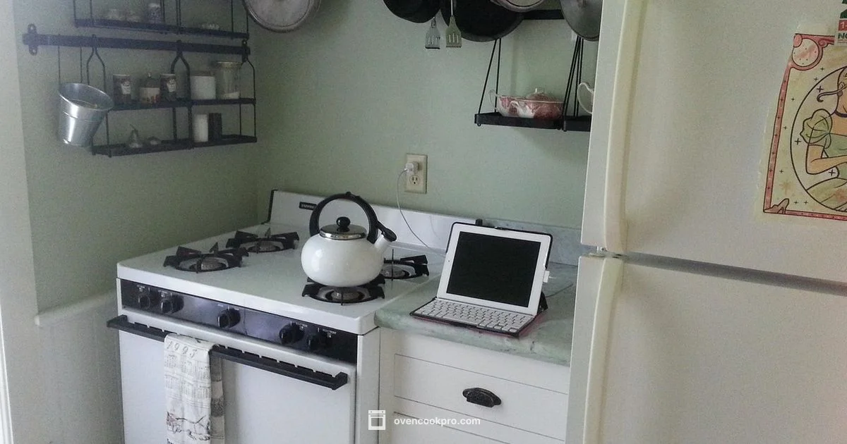 Oven vs Stove - Oven Cook Pro