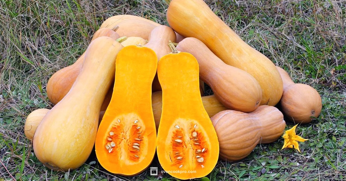 Butternut Oven Roasted - Oven Cook Pro