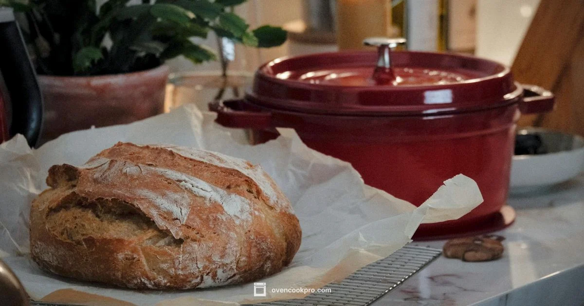 Le Creuset Dutch Oven - Oven Cook Pro