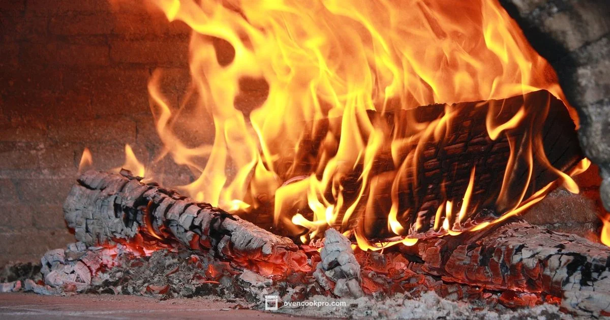 Top Oven Brands - Oven Cook Pro