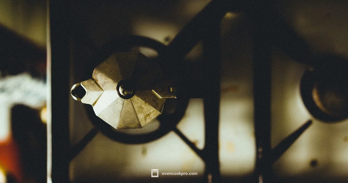 Gas Range Oven Guide - Oven Cook Pro