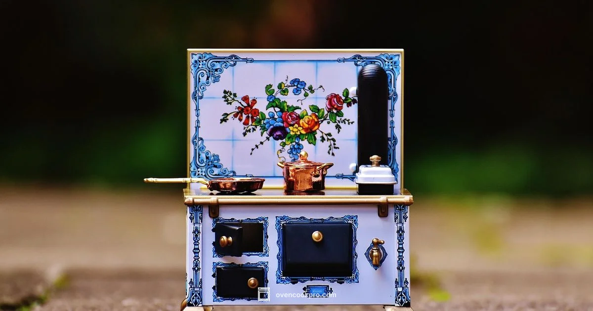 SparkBake Ovens - Oven Cook Pro