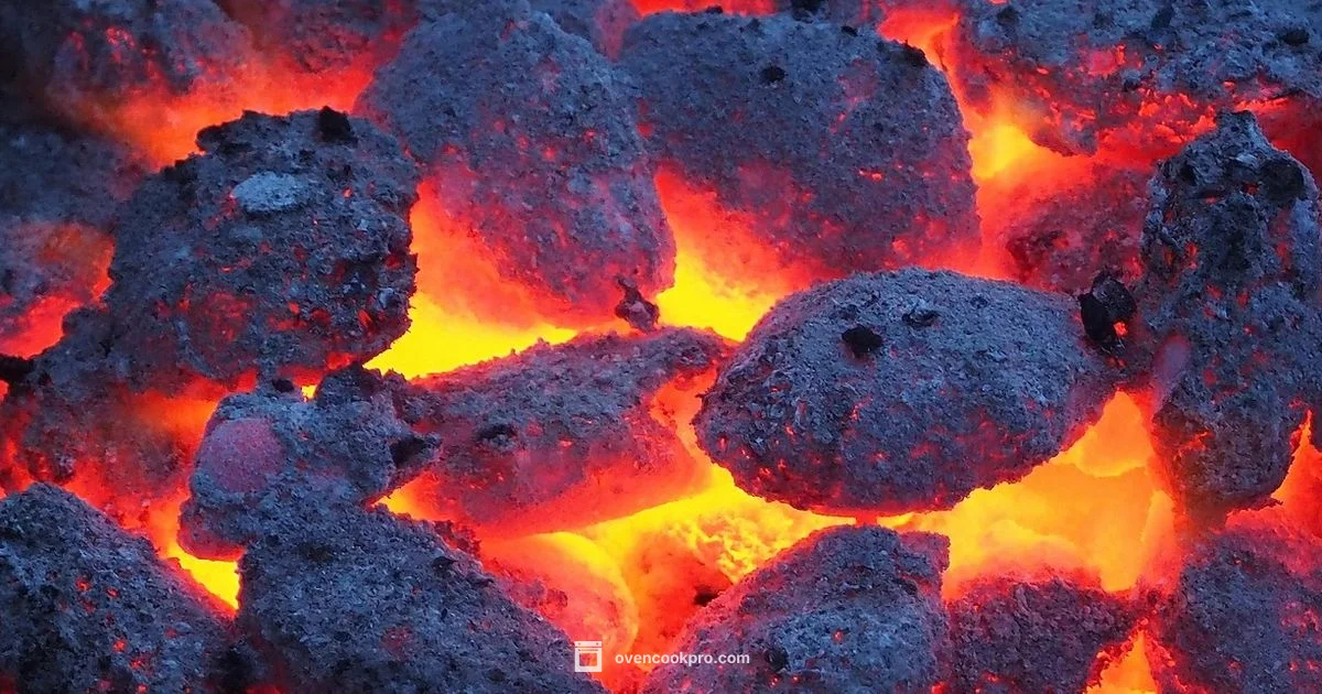 Blistered Coal Oven Pizza - Oven Cook Pro