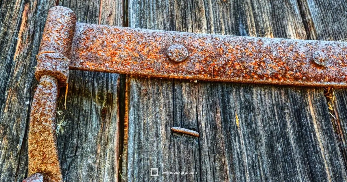 Oven Hinge Fix - Oven Cook Pro