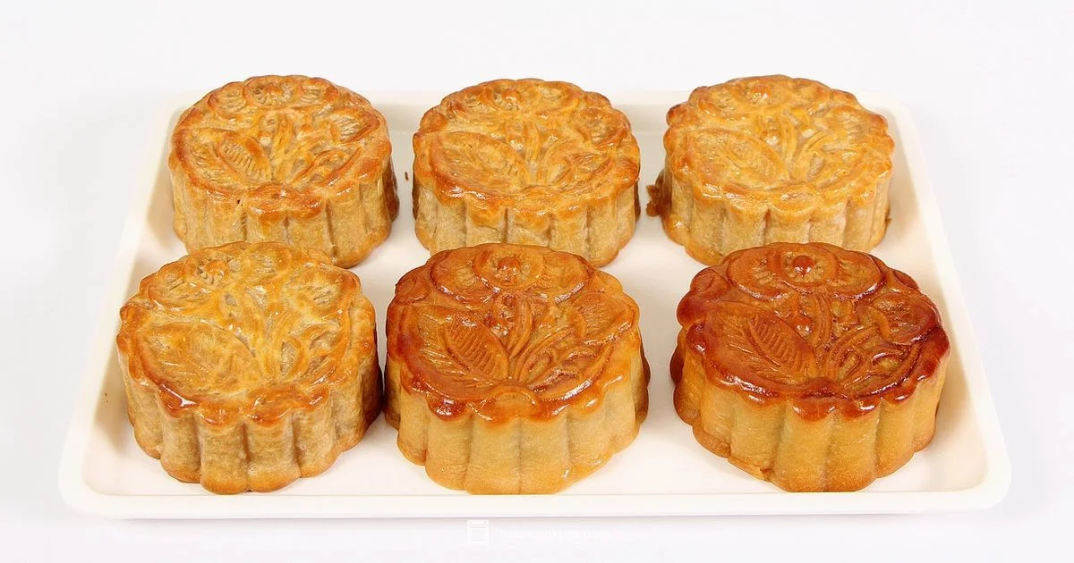 Convection Guide - Oven Cook Pro