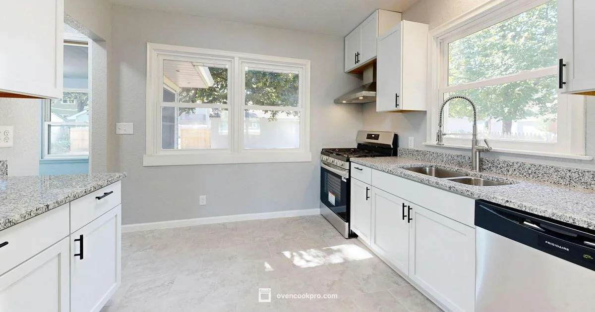 Gas vs Electric Oven - Oven Cook Pro
