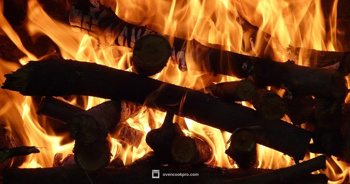 Oven Heat Underneath - Oven Cook Pro