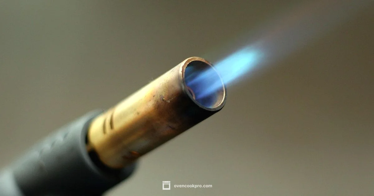 Gas Oven Burner Guide - Oven Cook Pro
