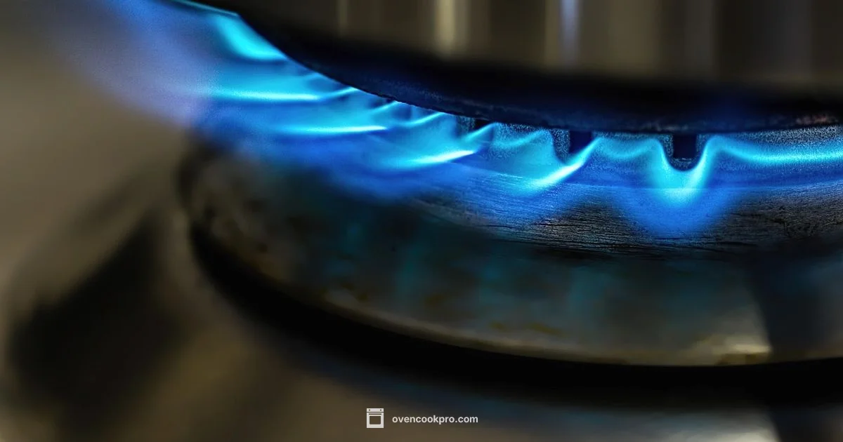 Gas Odor Safety - Oven Cook Pro