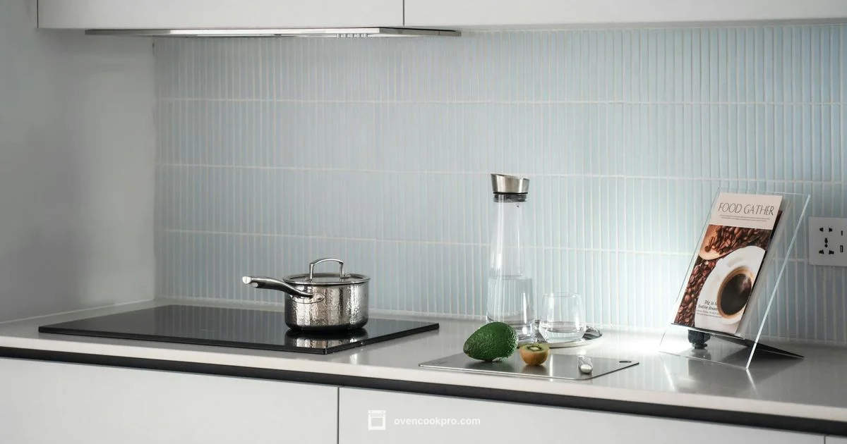 Induction Oven Basics - Oven Cook Pro